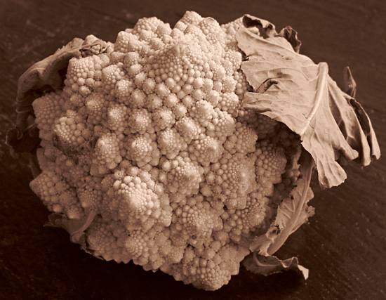 Fractal Fibonacci Romanesco*