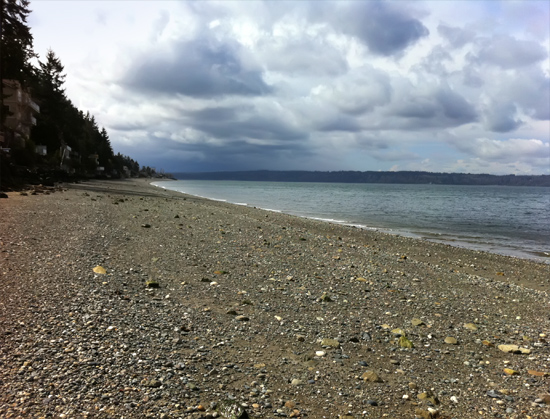 Beach Walk