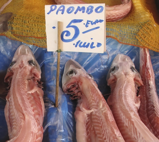 Markets of Palermo