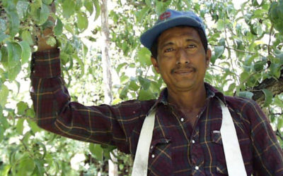 Meet the Men Who Pick Your Fruit