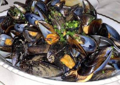 Mussels