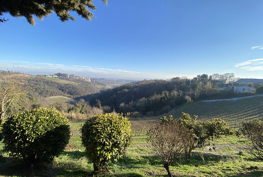 After antiques, eating for hours on a hilltop in Ozzano