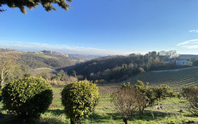 After antiques, eating for hours on a hilltop in Ozzano