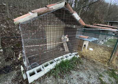 Imarisia chicken coop