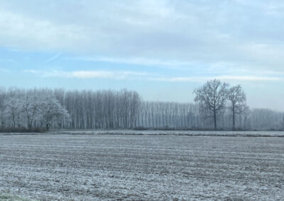 Snow-dusted country field