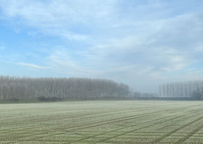 Frosty country field