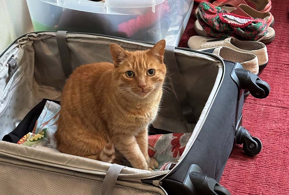 Take Me with You!
